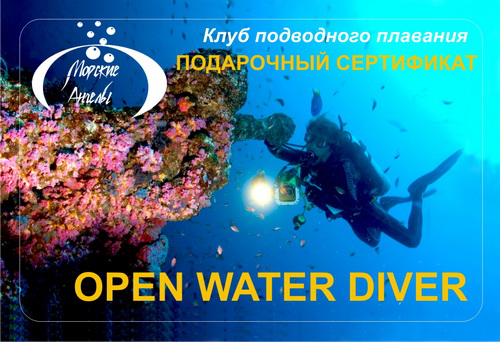 Open Water Diver подарочный сертификат (в паре)